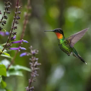 Los Quetzales & Highland Birding Expedition from Manuel Antonio