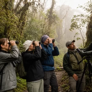 Los Quetzales & Highland Birding Expedition from Manuel Antonio
