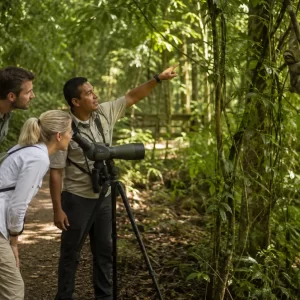 Custom Private Tours in Manuel Antonio with a Certified Naturalist Guide