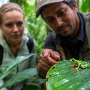 Custom Private Tours in Manuel Antonio with a Certified Naturalist Guide