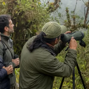 Los Quetzales & Highland Birding Expedition from Manuel Antonio