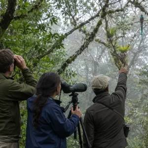 Selvatura Park Natural History Walk: Guided Cloud Forest & Hanging Bridges