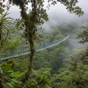 Selvatura Park Hanging Bridges: Self-Guided Cloud Forest Walk