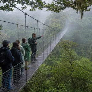 Selvatura Park Natural History Walk: Guided Cloud Forest & Hanging Bridges