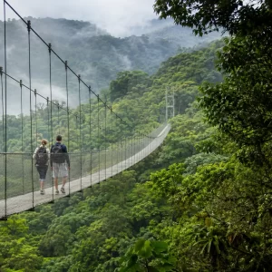 Selvatura Park Hanging Bridges: Self-Guided Cloud Forest Walk