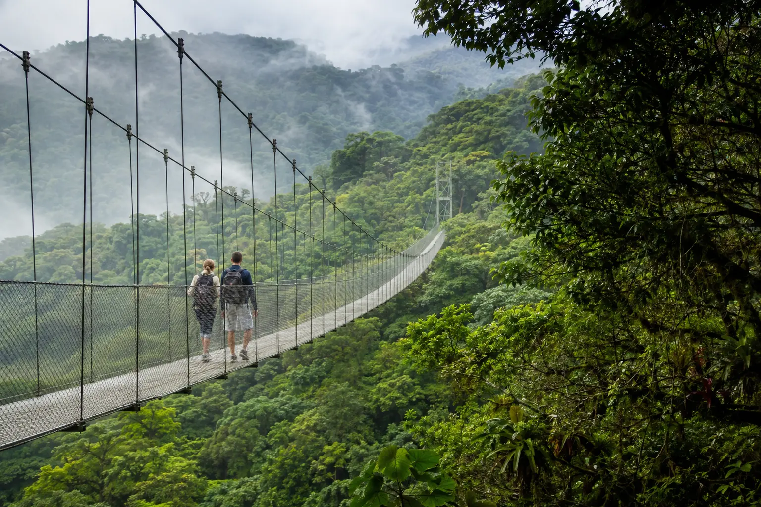 Selvatura Park Hanging Bridges: Self-Guided Cloud Forest Walk - Image 3