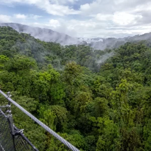 Selvatura Park Hanging Bridges: Self-Guided Cloud Forest Walk