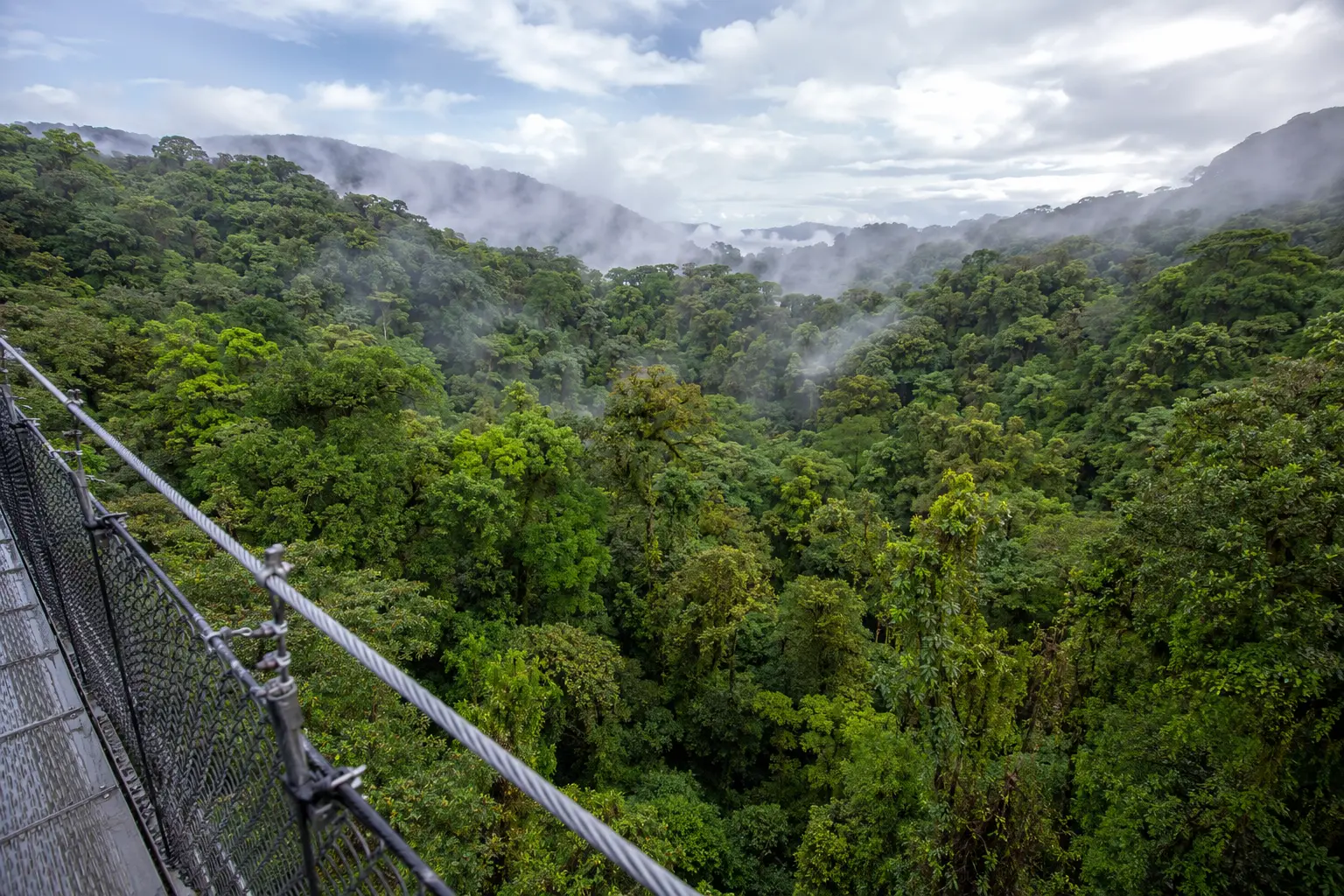 Selvatura Park Hanging Bridges: Self-Guided Cloud Forest Walk - Image 5