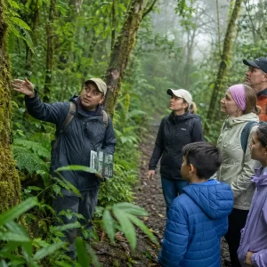 Selvatura Park Natural History Walk: Guided Cloud Forest & Hanging Bridges