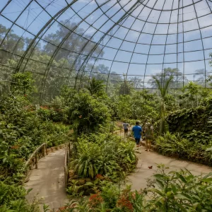 Selvatura Park Butterfly Garden: Guided Monteverde Tour
