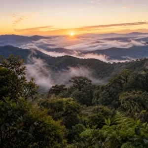 Los Quetzales & Highland Birding Expedition from Manuel Antonio