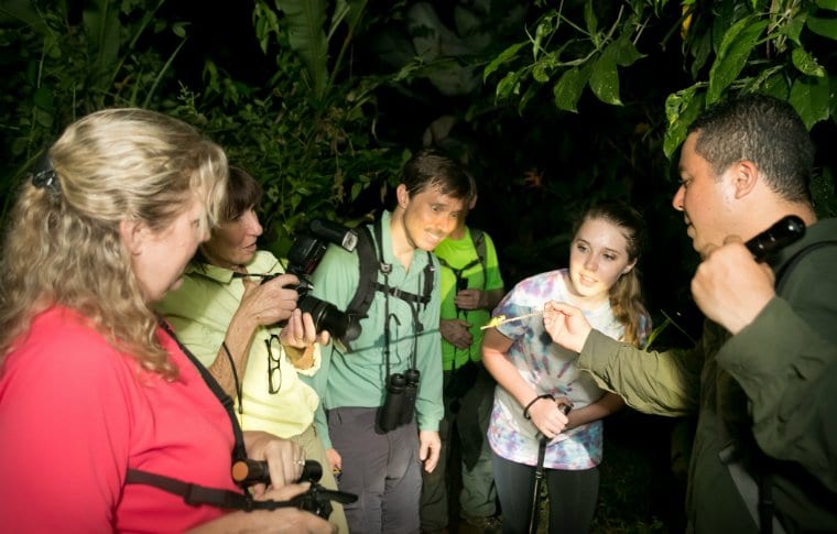 Jungle Night Research Walk - Image 10