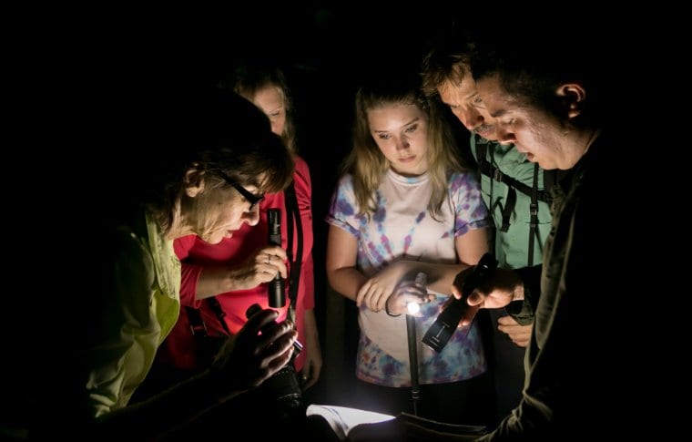 Jungle Night Research Walk - Image 15