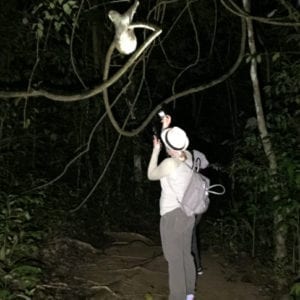 Jungle Night Research Walk