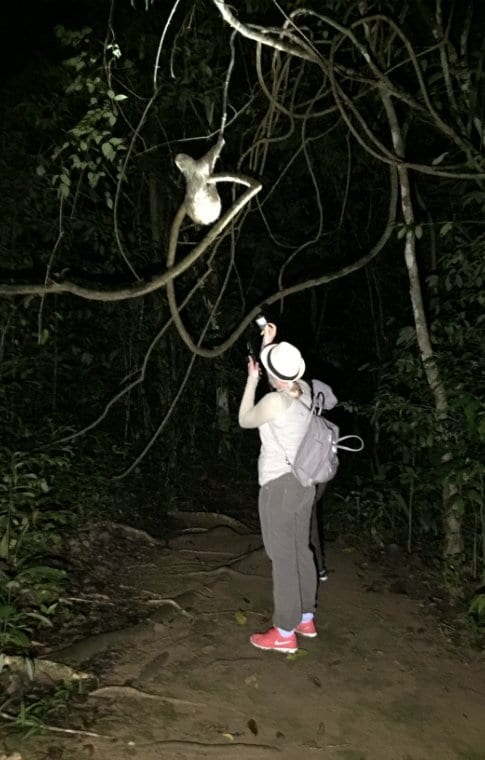 Jungle Night Research Walk - Image 5