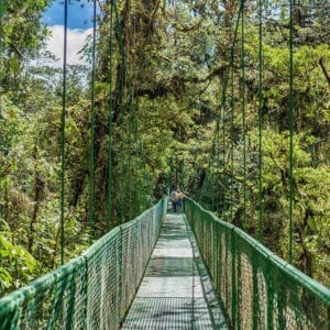 Selvatura Park Wood Pack: Hanging Bridges & Butterfly Garden