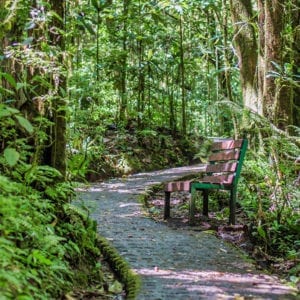Selvatura Park Silver Pack: Hanging Bridges & Sloth Habitat