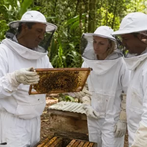 Manuel Antonio Bee Farm, Rainforest & Honey Experience