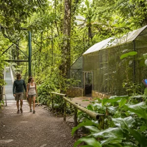 Selvatura Park Diamond Pack: Ziplining, Bridges & Butterflies
