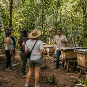 Manuel Antonio Bee Farm, Rainforest & Honey Experience