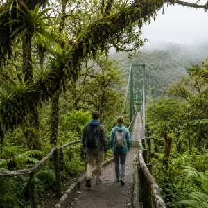 Couple walking a cloud-forest trail toward a hanging bridge in Monteverde