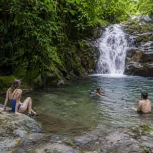 Rainforest Waterfall Pool