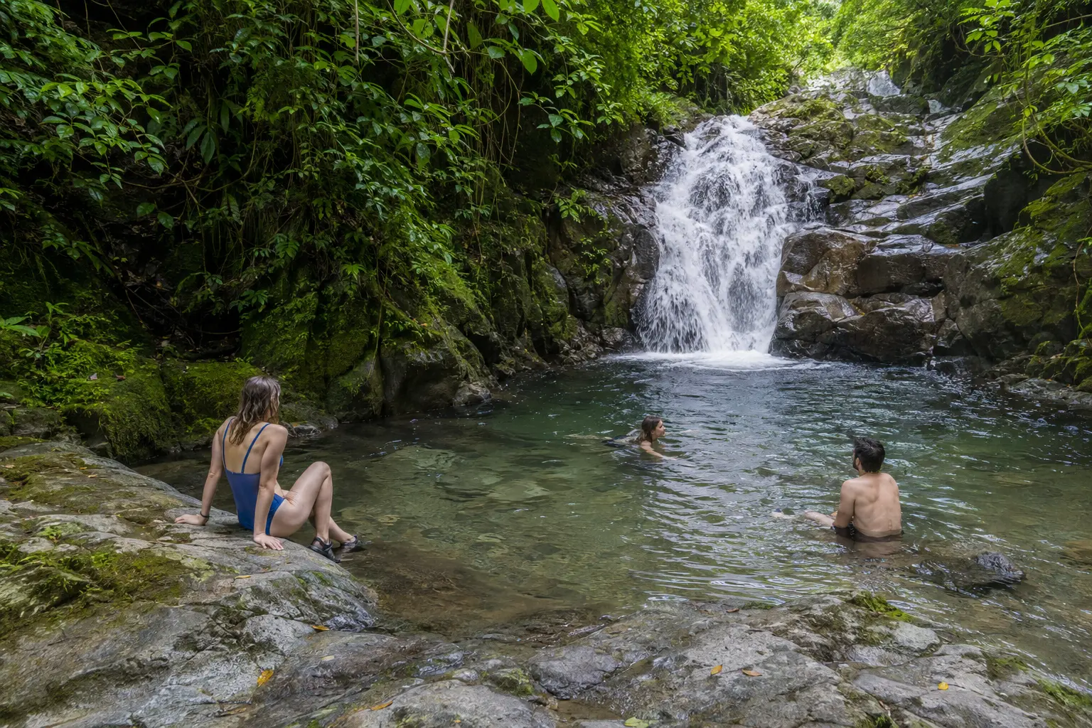 Rainforest Waterfall Pool
