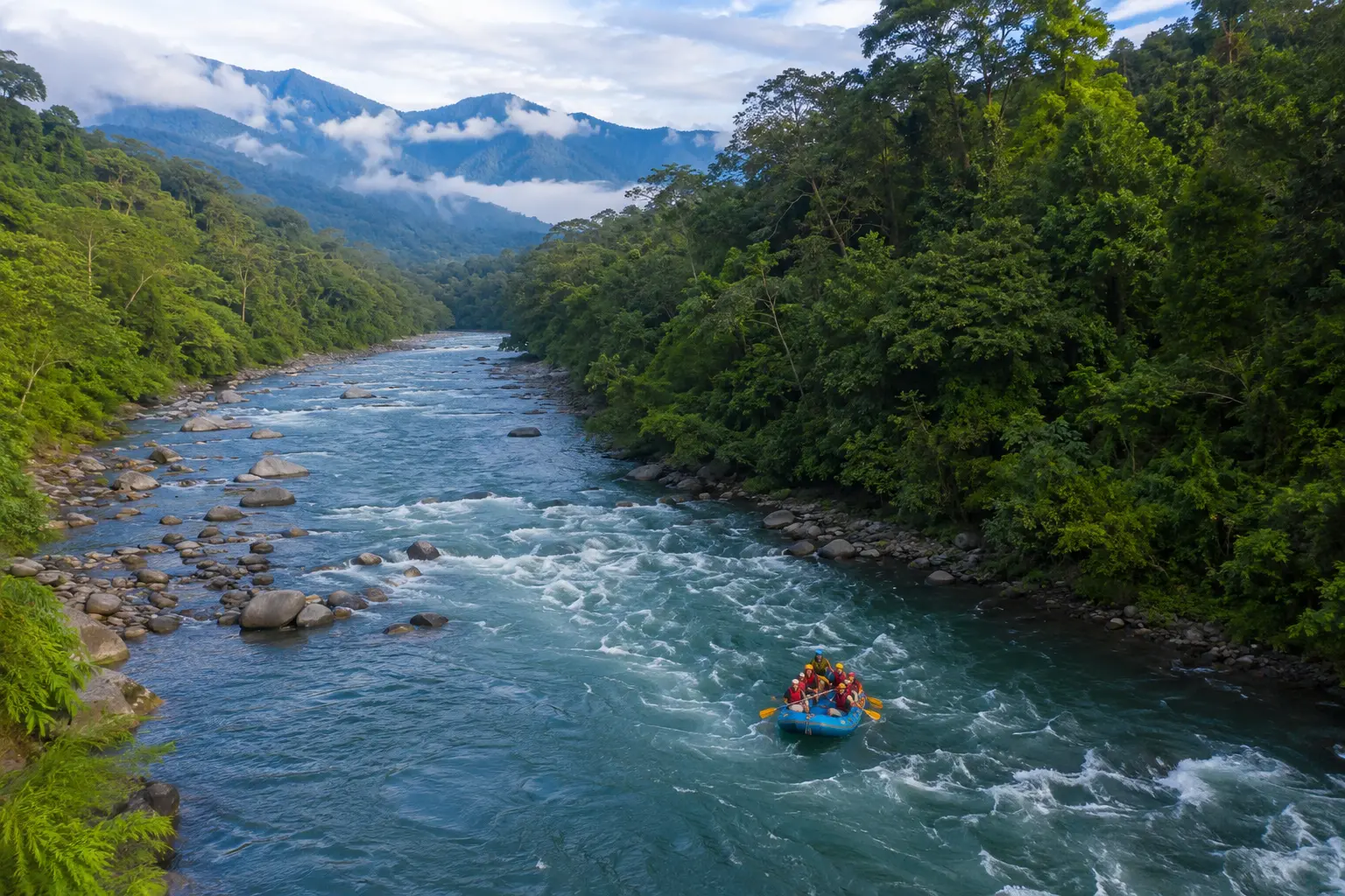 Rainforest River Scenery