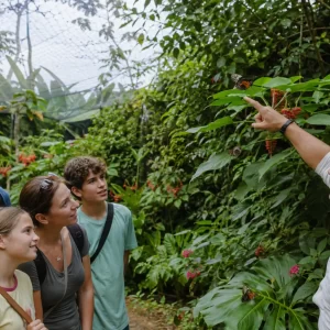 Selvatura Park Wood Pack: Hanging Bridges & Butterfly Garden