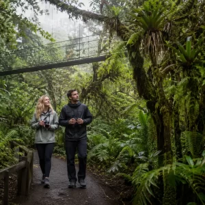 Selvatura Park Silver Pack: Hanging Bridges & Sloth Habitat