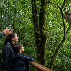 Selvatura Park Sloth Habitat: Guided Conservation Tour