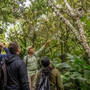 Selvatura Park Sloth Habitat: Guided Conservation Tour