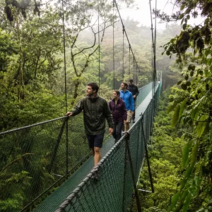 Visitors crossing a suspension bridge in Monteverde cloud forest