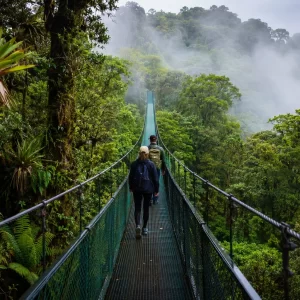 Selvatura Park Platinum Pack: Zipline, Bridges & Sloths