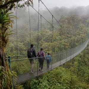 Selvatura Park Silver Pack: Hanging Bridges & Sloth Habitat