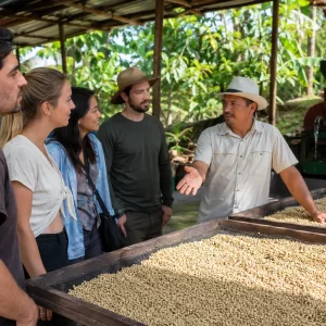 Starbucks Hacienda Alsacia Coffee Tour