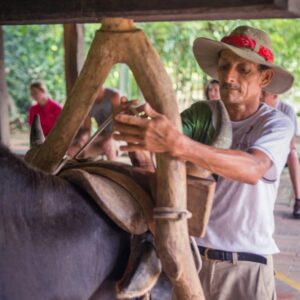 El Viejo Wetlands Boat Tour & Cultural Tasting with Transportation and Lunch