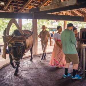 El Viejo Wetlands Boat Tour & Cultural Tasting with Transportation and Lunch
