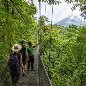 Mistico-style hanging bridges